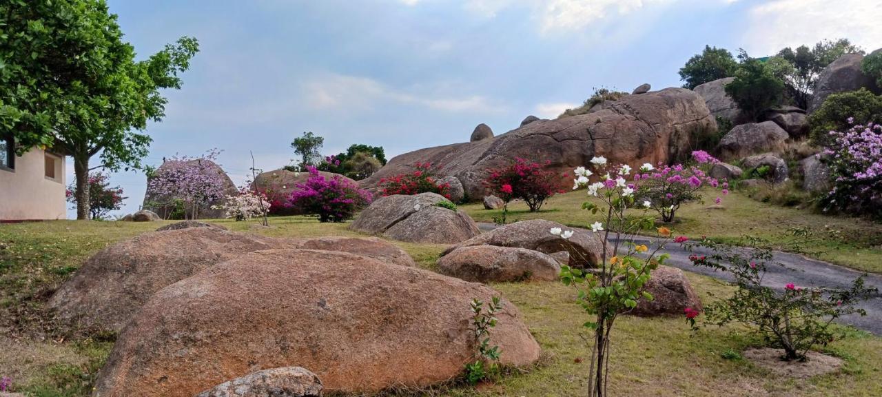Mdzimba Mountain Lodge Ezulwini Dış mekan fotoğraf